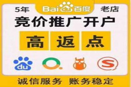 成功案例解析：SEM竞价托管运营策略